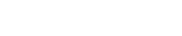 Seeknet logo